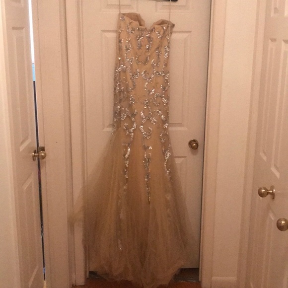 Nina Canacci long gown - Picture 6 of 6